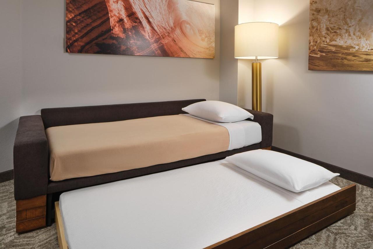 Springhill Suites By Marriott Jacksonville Baymeadows Bagian luar foto